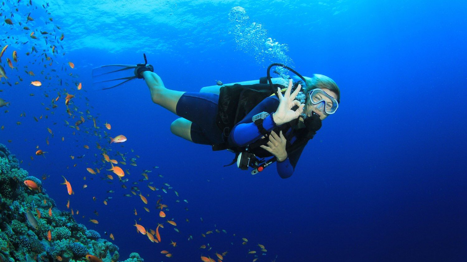 scuba-diving-signals-online-course scuba signals